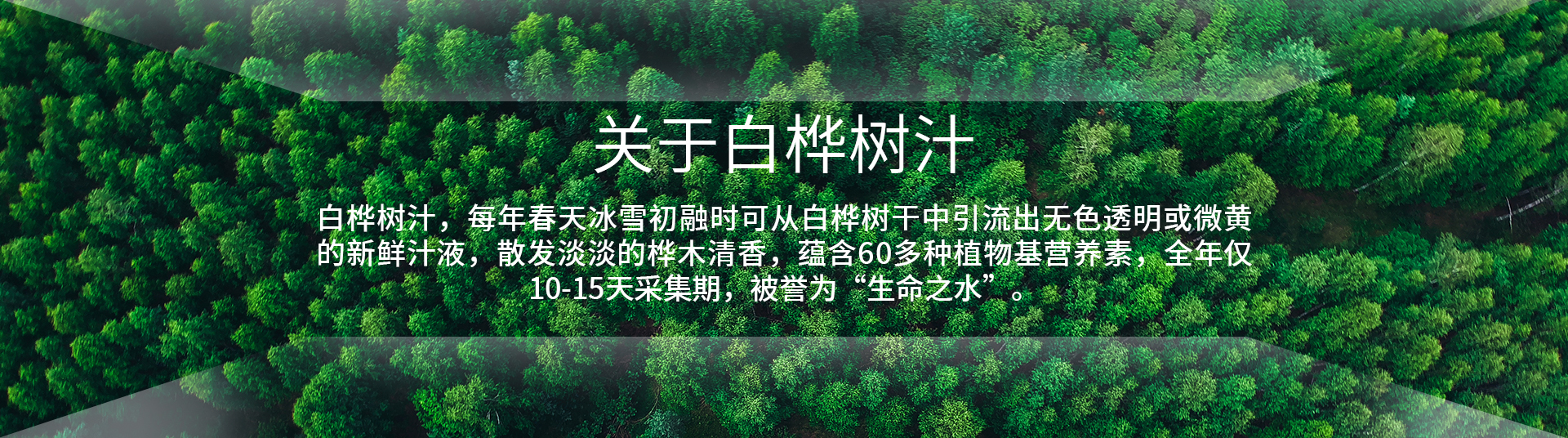 廣告標題