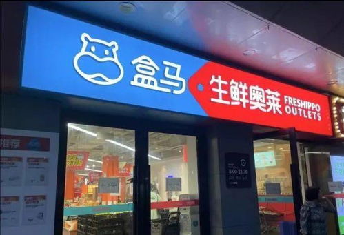 對話盒馬侯毅 做企業不賺錢，總歸覺得是種恥辱——新零售的批發兼零售之道