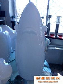 點亮生活，從專業路燈批發到安心食品零售——一站式采購新體驗